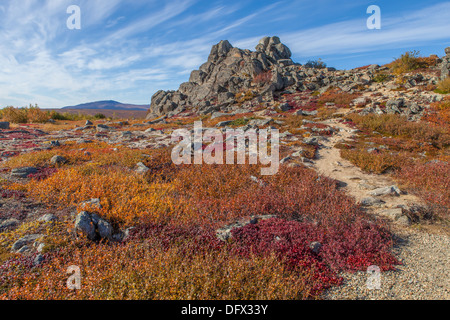 Alaskan arctic landscape in fall colors Stockfoto