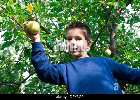 Kinder wählen aus grünem Apfel auf einem Baum Stockfoto