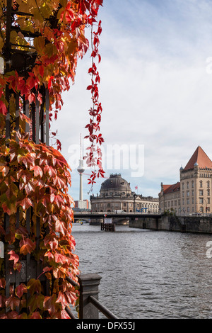 Berlin im Herbst - Bode-Museum, Fluss Spree und roten Blätter von einem wildem Fluss Spalier Stockfoto