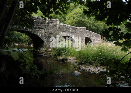 Fingle Bridge in der Nähe von Drewsteignton, Devon zeigt die drei Bögen dieser 17. Jahrhundert Lastesel Brücke über dem Fluß Teign. Stockfoto