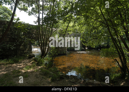 17. Jahrhundert Fingle bridge über den Fluß Teign, aus flussaufwärts. Die Brücke finden Sie in der Nähe von Drewsteignton, Devon Stockfoto