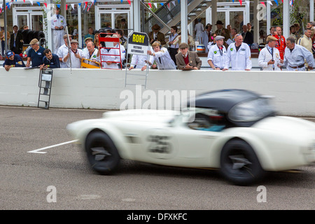 1962 geht AC Cobra die Gruben bei 2013 Goodwood Revival, Sussex, UK. RAC TT Feier Rennen. Stockfoto