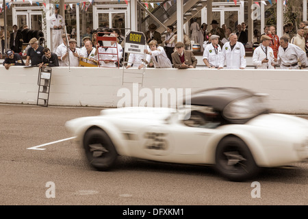 1962 geht AC Cobra die Gruben bei 2013 Goodwood Revival, Sussex, UK. RAC TT Feier Rennen. Stockfoto