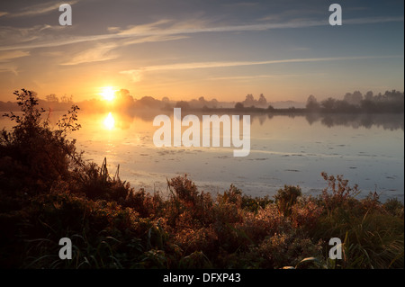 aufgehenden Sonne über wilde See bei nebligen Morgen, Drenthe, Niederlande Stockfoto