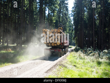 Protokollierung-LKW Stockfoto