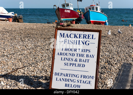 Angeltouren Makrelen beworben am Strand von Bier, Devon, England, UK. Stockfoto