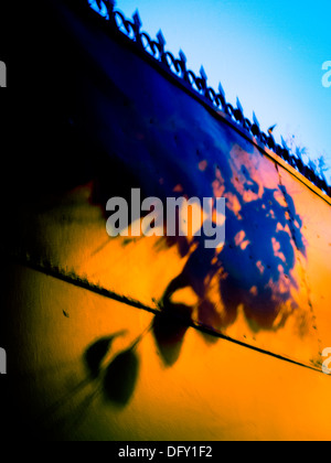 Blätter-Schatten an der Wand Stockfoto