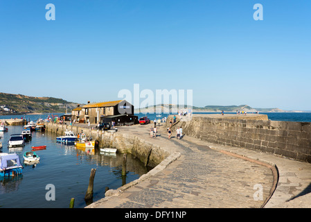 Die Cobb bei Lyme Regis, Dorset, England, UK. Stockfoto