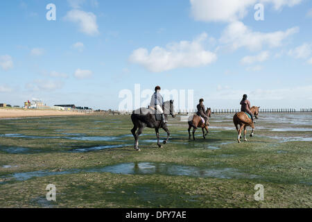 Maplin Sands, Shoeburyness, Essex. 10. Oktober 2013. Auch bei Sturm zwingen Winde vorhergesagt, drei Reiter ihre Pferde aus Burnham auf Crouch am Maplin Sandstrand bei Ebbe auszuführenden gebracht. Die trockenen knackig windigen Tag für eine belebende Fahrt gemacht. Bildnachweis: Allsorts Stock Foto/Alamy Live-Nachrichten Stockfoto