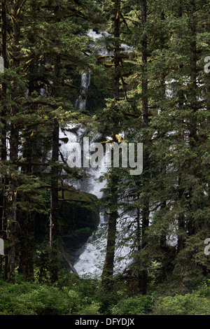 Wasserfall in den nördlichen gemäßigten Regenwald, Khutze Inlet, Mid Küste British Columbia Stockfoto