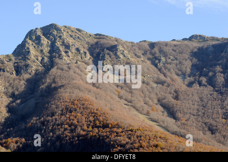 Horizontale Bild der schönen Landschaftsbild der Bergwald bedeckt im Herbst Farben des Herbstes. Stockfoto