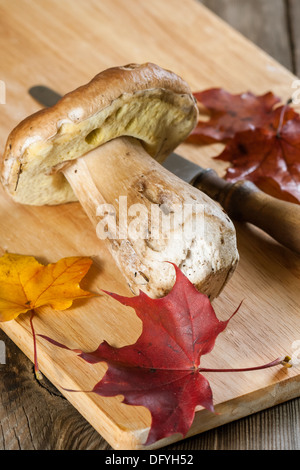 Weiße Champignons (Cep) und Ahorn-Blätter auf einem hölzernen Hintergrund Stockfoto