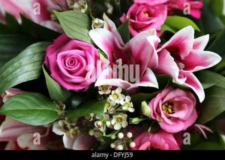 Rosa Blumen Stockfoto