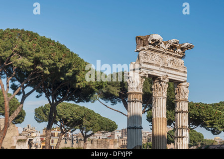 Forum des Caesar, Säulen der Tempel der Venus Genitrix. Der Tempel wurde erbaut in 46 v. Chr., Rom, Latium, Italien, Europa Stockfoto