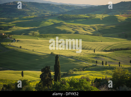 Panorama-Blick auf grünen Wiesen im toskanischen Landschaft mit Schatten fallen über die Piste Stockfoto