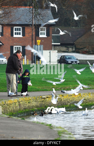 Ein Mann und ein Kind füttern die Vögel UK Stockfoto