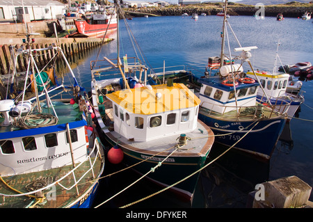 Küstenfischerei Boote vertäut im Hafen von Burtonport in County Donegal, Irland Stockfoto