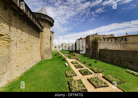 Frankreich, Carcassonne, Aude - Burg oder Schloss in der ummauerten Altstadt. Graben Gärten und Eingang. Stockfoto