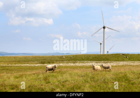 Penrhyddlan und LLidiartywaun Windfarm in der Nähe von Llandinam, Mid Wales. Stockfoto