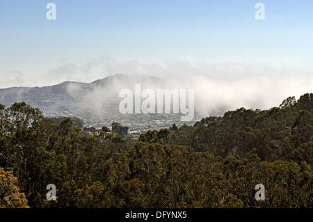 Küstennebel fließt über San Bruno Berg Stockfoto