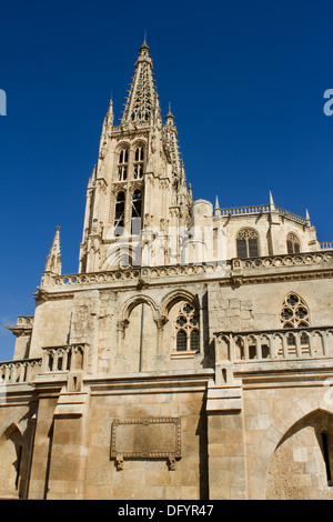 Die Südwand des Burgos Kathedrale, Burgos, Castilla y Leon. Spanien Stockfoto