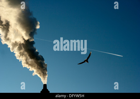 Ein blauer Himmel mit einem Schornstein bläst Rauch, eine Möwe und ein Flugzeug. Stockfoto