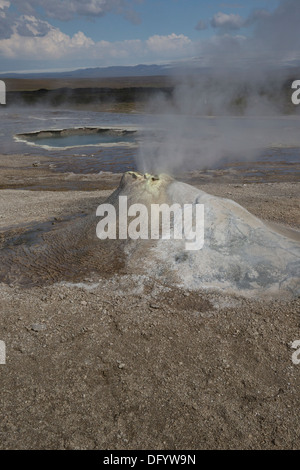 Hveravellir Geothermie Island Stockfoto