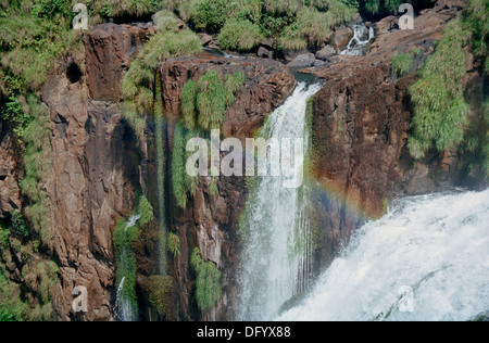 Wasserfall und Regenbogen im subtropischen Regenwald im Iguazu Nationalpark, Argentinien, Südamerika Stockfoto