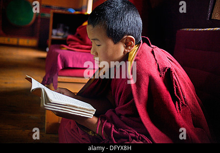 Puja, junger Mönch beten in Dip Tse Chok Ling Monastery.McLeod Ganj, Dharamsala Himachal Pradesh Zustand, Indien, Asien Stockfoto