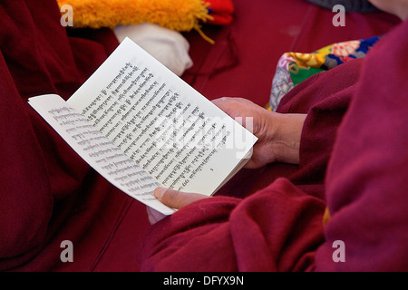 Puja, Mönche beten während Losar Neujahr, Namgyal Kloster in Tsuglagkhang Complex. McLeod Ganj, Dharamsala Himachal Prades Stockfoto