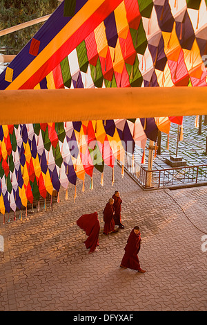 Mönche in Namgyal Kloster in Tsuglagkhang complex. McLeod Ganj, Dharamsala Himachal Pradesh Zustand, Indien, Asien Stockfoto