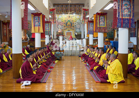 Puja, Mönche beten, Namgyal Kloster in Tsuglagkhang Complex. McLeod Ganj, Dharamsala Himachal Pradesh Zustand, Indien, Asien Stockfoto