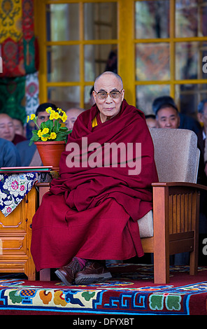 Seine Heiligkeit der Dalai Lama in Namgyal Kloster in Tsuglagkhang complex. McLeod Ganj, Dharamsala Himachal Pradesh State, Indi Stockfoto