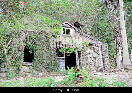 Verlassenes Steinhaus in der Nähe von Mudgeeraba QLD Australia, von Vegetation bewachsen. Stockfoto