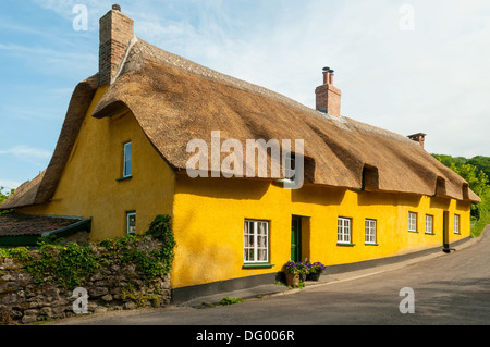 Reetdachhaus in Branscombe, Devon, England Stockfoto