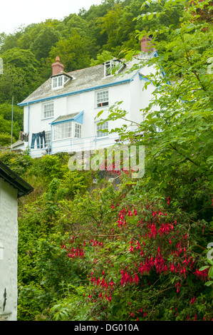 Altes Haus in Clovelly, Devon, England Stockfoto