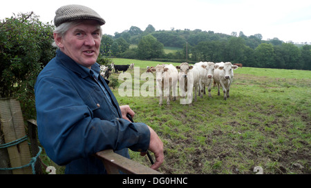 Britischer Bauer (Portrait) Welsh Farmer Kontrolle auf seinem Vieh in einem Feld im Herbst Llanwrda Llandovery Carmarthenshire Wales UK KATHY DEWITT Stockfoto