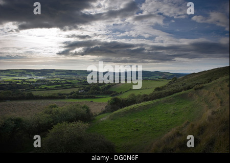 Am frühen Abend über den Purbeck Hills, Dorset, Großbritannien Stockfoto