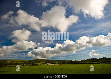 Feinen Herbsttag in den Purbeck Hills, Dorset, Großbritannien Stockfoto