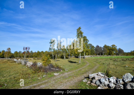 Eine schwedische Landschaft in herbstlichen Farben Stockfoto