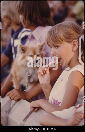 YOUNGSTER HAT UNWISSENTLICH IHRE EIS-STICK MIT DEM HUND AS GETEILT, SIE BEOBACHTET, WÄHREND DIE KIDDIES PARADE ZOLL ZU URTEILEN... 558190 Stockfoto