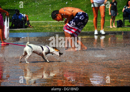 Eine kleine Welpe/Hund spielen in einem Brunnen in einem Stadtpark. Stockfoto