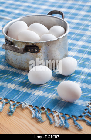 weiße Hühnereier auf blau karierter Stoff Stockfoto