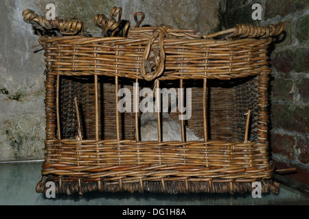 Korb mit Brieftauben im Museum des ersten Weltkriegs ein Fort de Vaux, Vaux Devant Damloup, Lorraine, Schlacht von Verdun, Frankreich Stockfoto