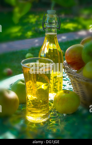 Garten Stillleben mit Glas Apfelwein, eine Flasche Apfelsaft und Apfelwein machen Äpfel. Stockfoto