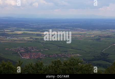 Blick vom Schloss Haut Koenigsbourg, Elsass, Frankreich. Stockfoto