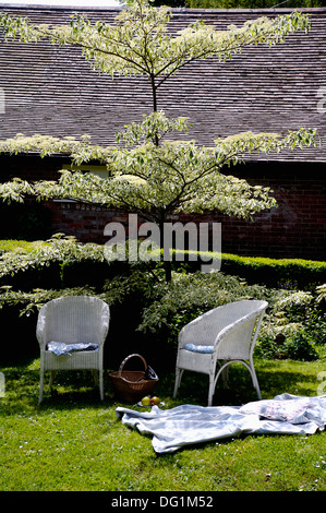 Weiße Lloyd Loom Stühle und Teppich im Schatten auf Rasen unter weißen Blüte Viburnum in ländlichen Garten im Sommer Stockfoto