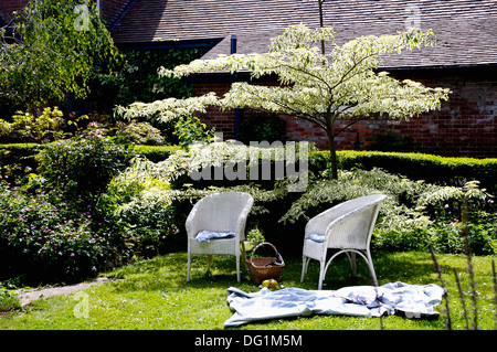 Weiße Lloyd Loom Stühle und Teppich auf dem Rasen unter kleinen weißen Blüte Viburnum Baum im Garten im Sommer Stockfoto