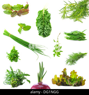 Mischen Sie organische Salatblätter und Salat Zwiebel Federn Stockfoto