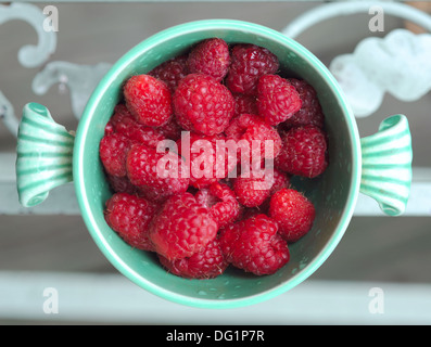 Gerade gepflückten Beeren von Himbeere in antiken Cup verloren im Garten im Regen Stockfoto